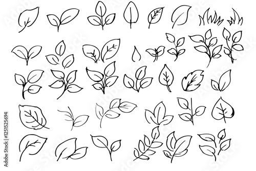 手書きの木の葉や草のボタニカル線画のイラスト　ベクター
