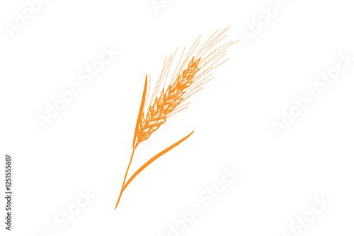 Simple wheat logo, wheat icon vector on white background.