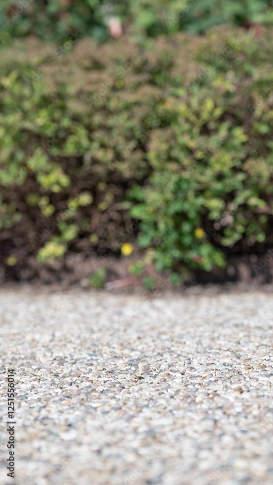 A serene outdoor scene showcasing gravel ground with lush green shrubs in the background, perfect for nature lovers and outdoor enthusiasts seeking tranquility. A serene outdoor scene showcasing gravel ground with lush green shrubs in the background, perfect for nature lovers and outdoor enthusiasts seeking tranquility.