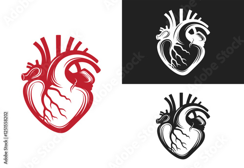 Human heart vector illustration