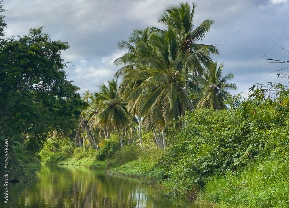Obraz premium The Yasica River in Cabarete, Dominican Republic