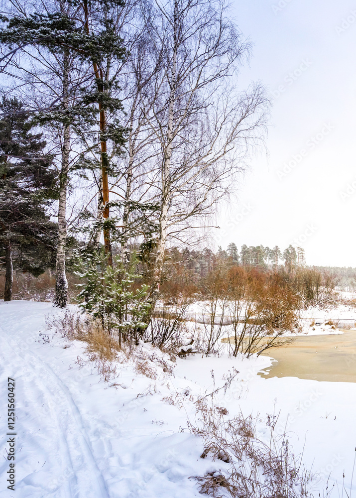 Snowy landscape with a tree in the foreground Snowy landscape with a tree in the foreground