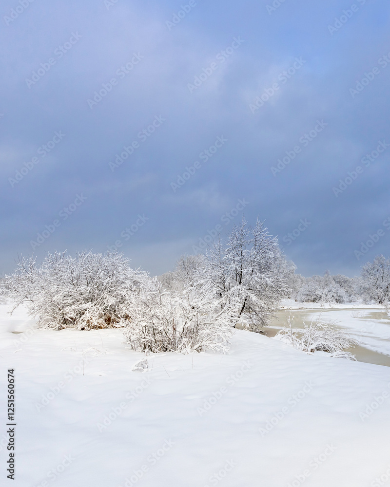 Snowy landscape with trees and a river Snowy landscape with trees and a river