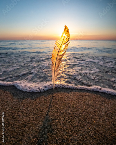 Photo d'une plume de mouette plantée dans le sable d'une plage du sud de la France au lever du soleil.