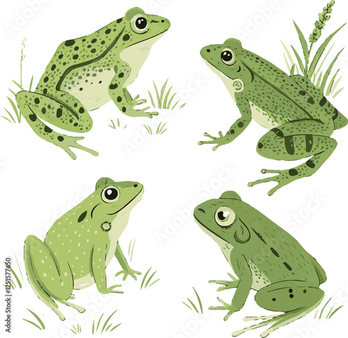 four frogs on white background