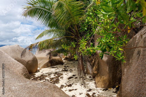 Foto Anse Source D'argent, La Digue, Seychelles, Africa