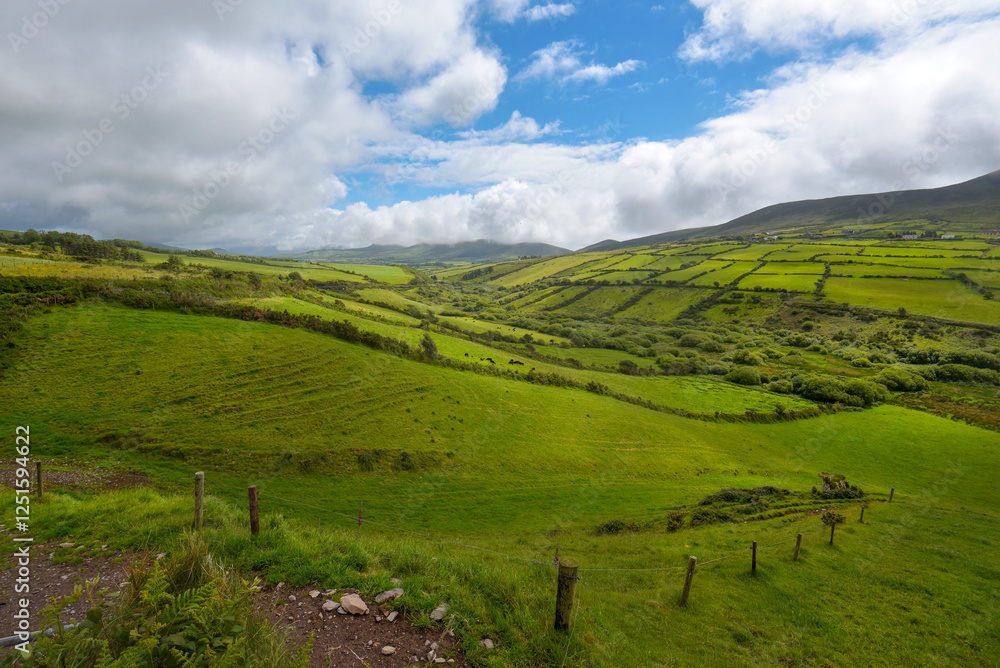 Fototapeta premium typische irische Landschaft