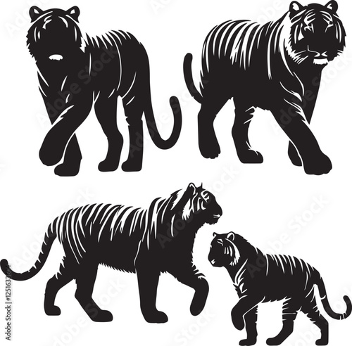 set of Siberian Tiger walking poses,Siberian tiger walking silhouette, Siberian tiger stride vector, black and white tiger walking, tiger walking poses set