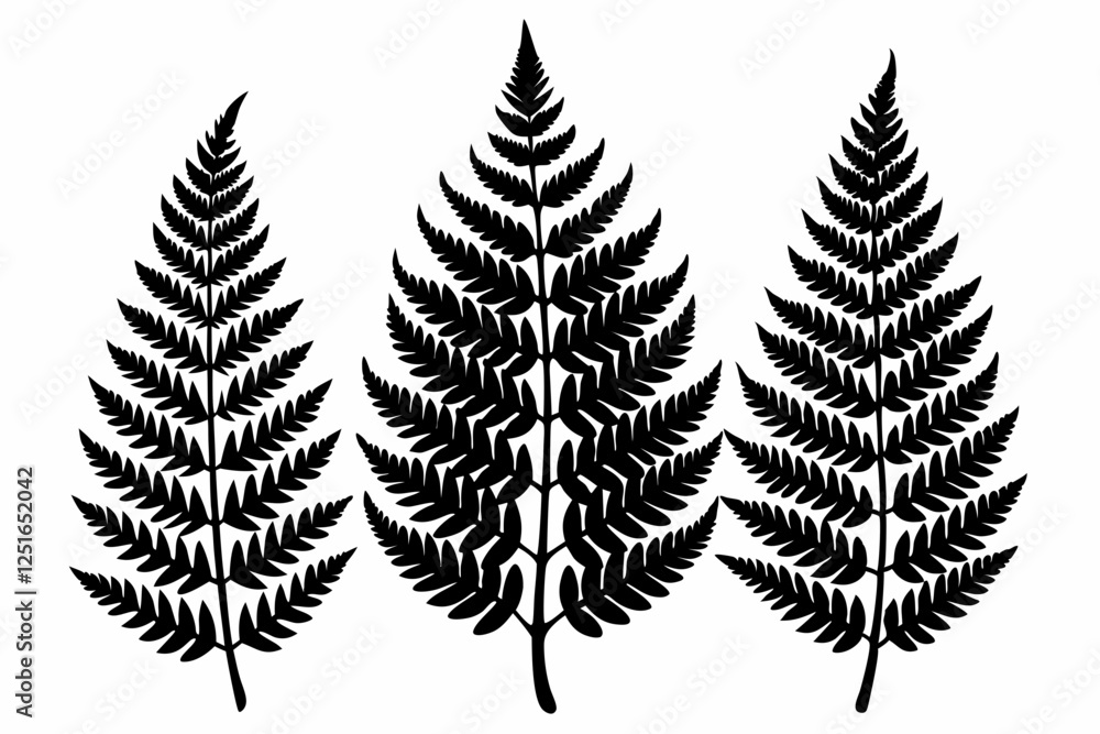 3 fern leaf line art silhouette vector illustration 3 fern leaf line art silhouette vector illustration