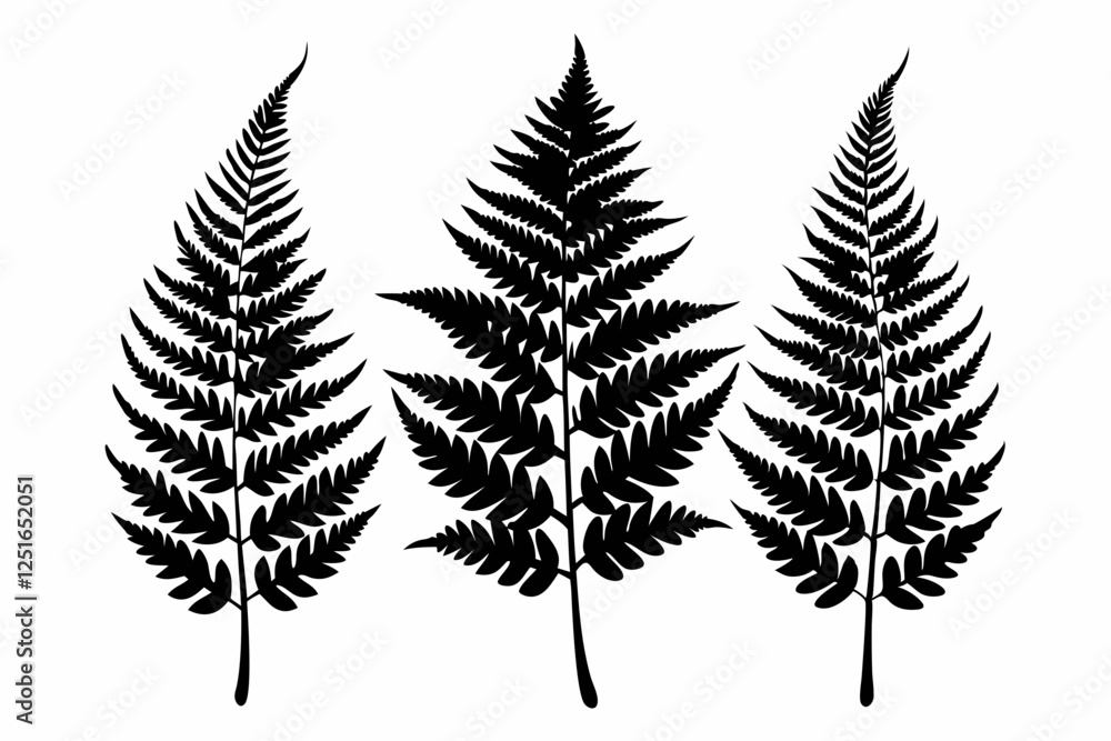 3 fern leaf line art silhouette vector illustration 3 fern leaf line art silhouette vector illustration