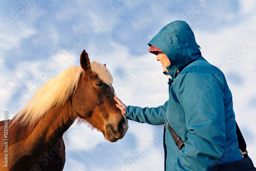 Pferd wird gestreichelt photo