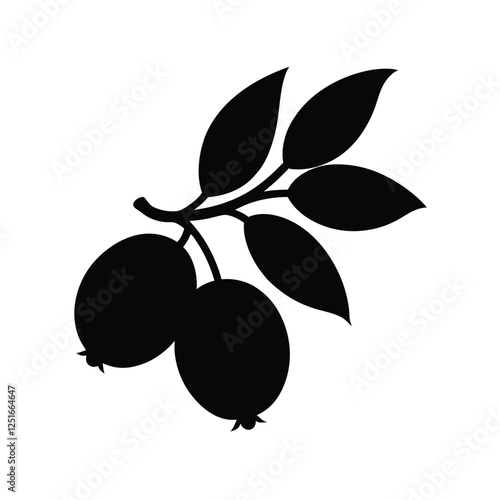 Barberry Silhouette Vector Art, Black and White Barberry Fruit Illustration