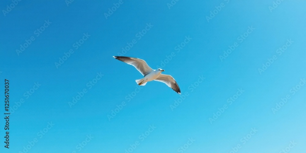 A solitary seabird glides effortlessly against a vibrant azure sky, wings outstretched in graceful flight, a breathtaking display of avian freedom and natural beauty. A solitary seabird glides effortlessly against a vibrant azure sky, wings outstretched in graceful flight, a breathtaking display of avian freedom and natural beauty.