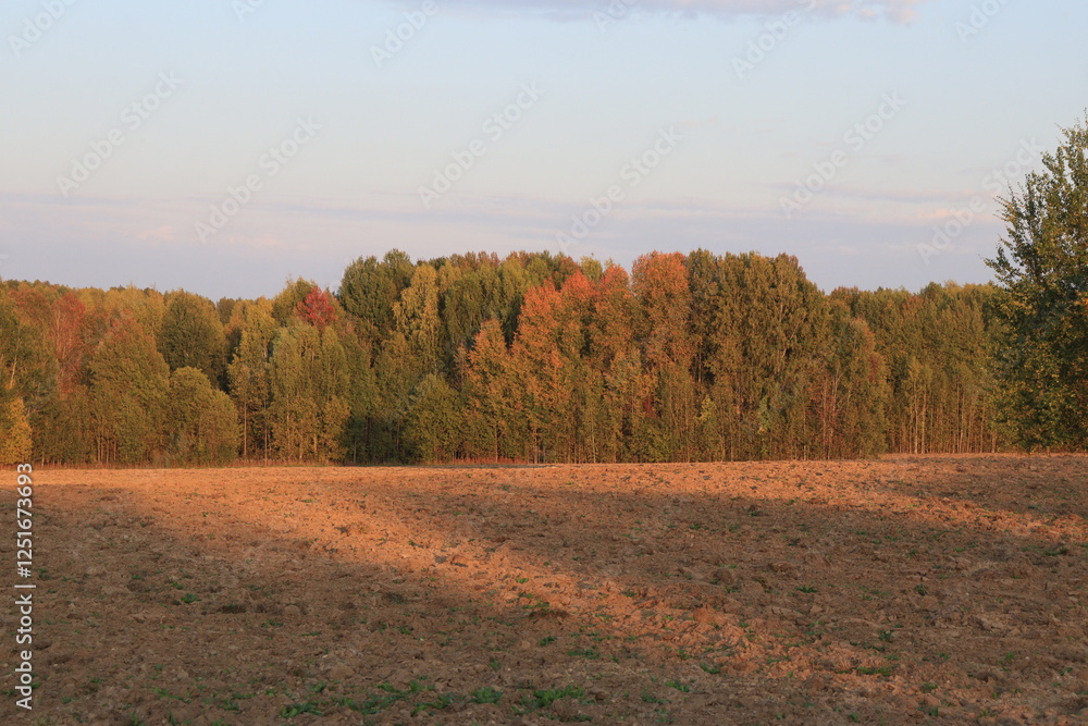 plowed field on the edge of autumn forest plowed field on the edge of autumn forest