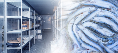 Freezer warehouse with fish...