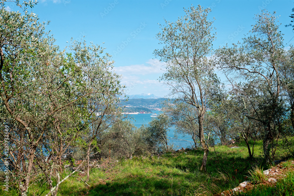 AERIAL OF LA SPEZIA TAKE FROM A HILL AERIAL OF LA SPEZIA TAKE FROM A HILL