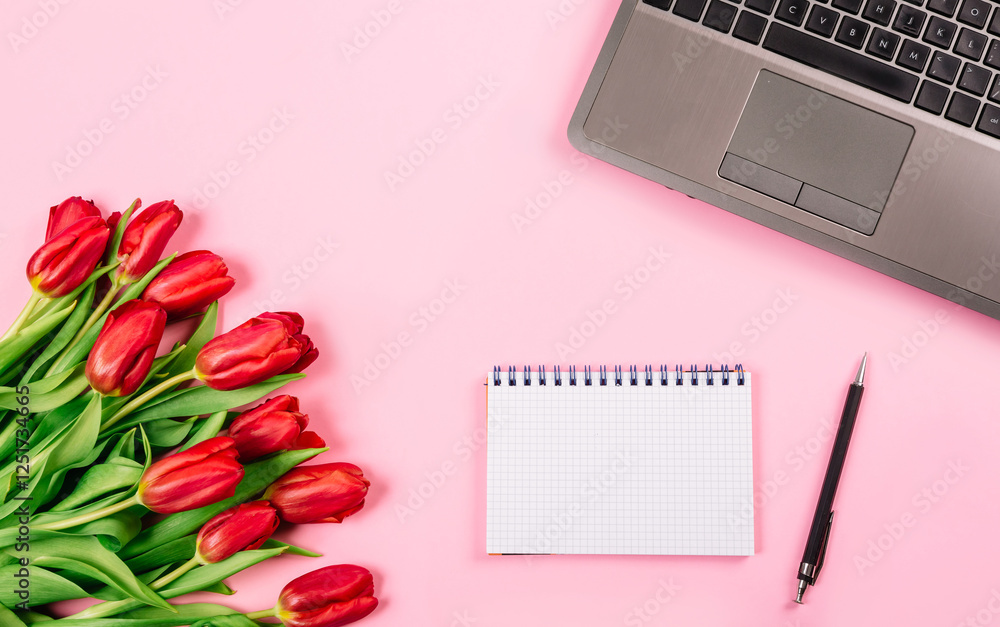 Bouquet of red tulips on pink paper background with a laptop, spiral notebook and pen are a template for advertising or visualization of blog with copy space text place. Business holiday. Certificate Bouquet of red tulips on pink paper background with a laptop, spiral notebook and pen are a template for advertising or visualization of blog with copy space text place. Business holiday. Certificate