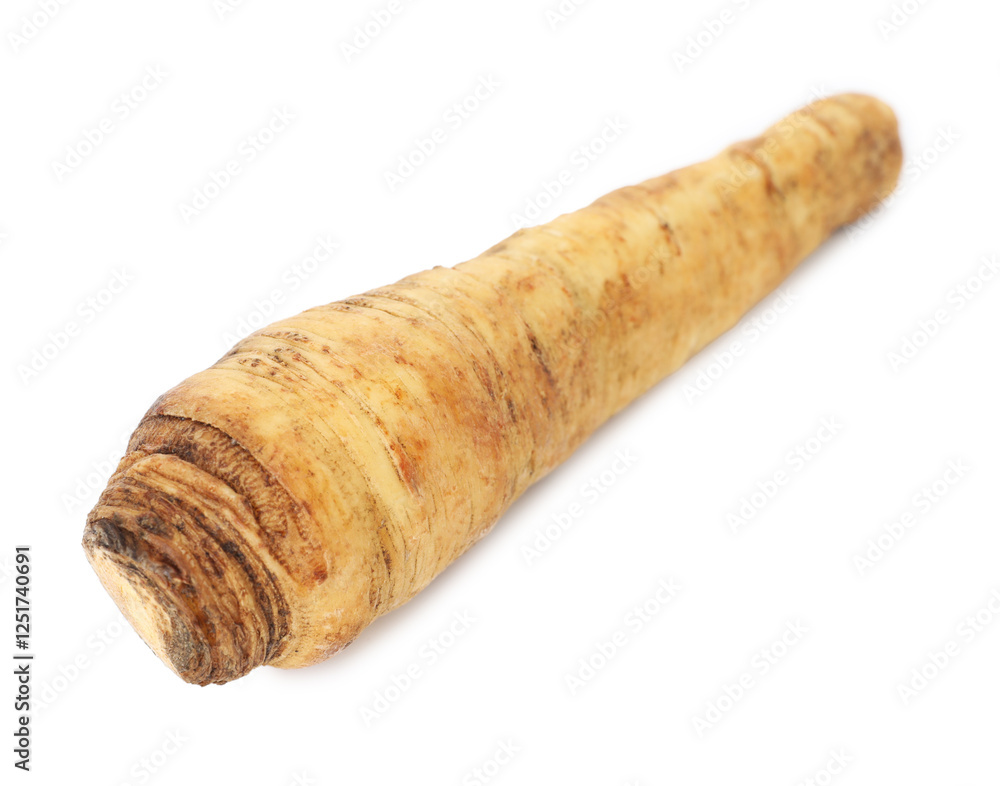 One fresh parsnip isolated on white. Root vegetable