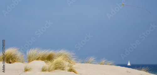 Strandstillleben photo