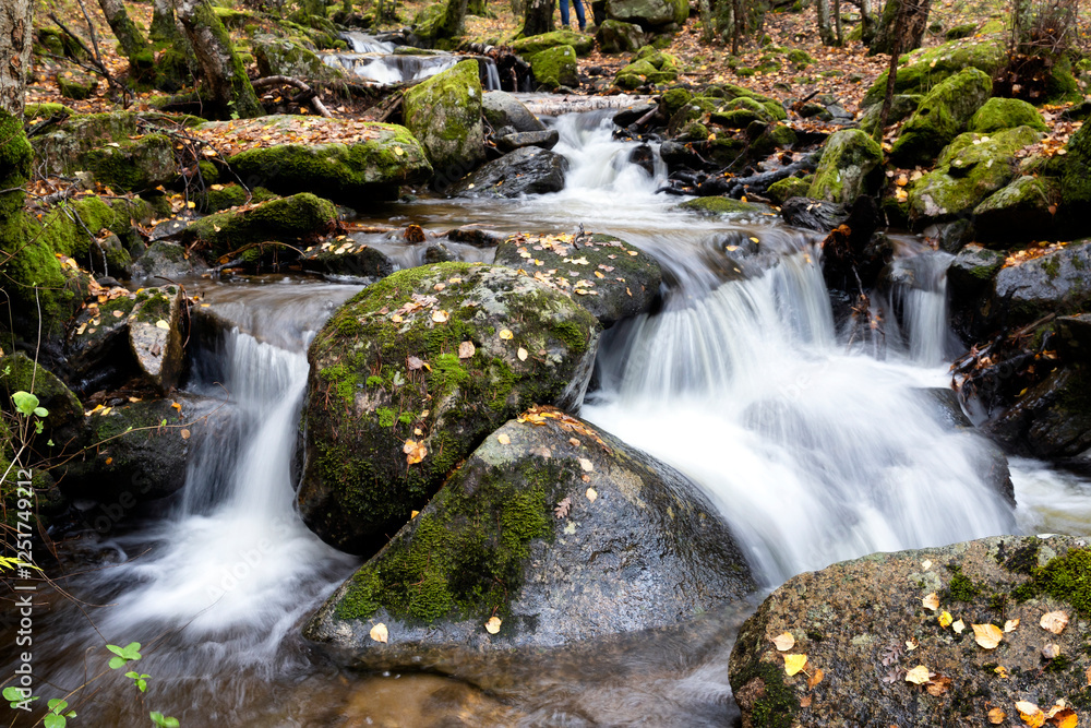 Rocas con musgo en el arroyo Rocas con musgo en el arroyo