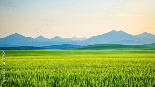 Tranquil green rice field under majestic mountains scenic landscape photography natural environment wide-angle view serenity concept for nature lovers