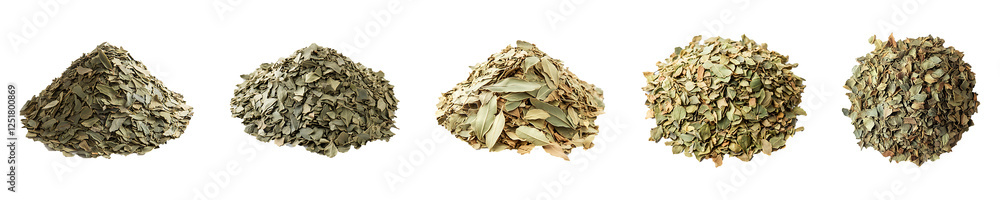 Set, Group of pile of dried bay leaves Isolated on Transparent Background PNG Image. Set, Group of pile of dried bay leaves Isolated on Transparent Background PNG Image.