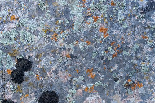 Φωτογραφία Moss and lichen on the rock surface