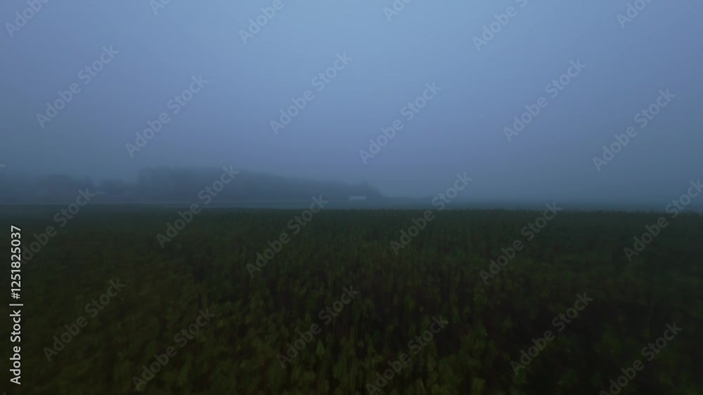 Foggy Morning Over Field Captured by Drone Aerial view of field shrouded in thick fog during early morning hours, creating serene and mysterious atmosphere. Perfect for nature or moody landscapes Foggy Morning Over Field Captured by Drone Aerial view of field shrouded in thick fog during early morning hours, creating serene and mysterious atmosphere. Perfect for nature or moody landscapes