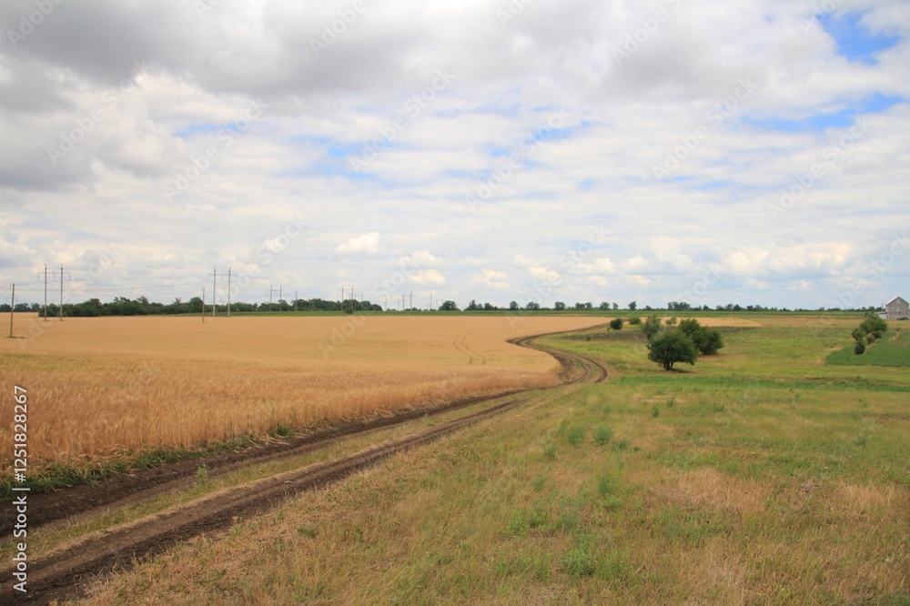 rural landscape with a field and sky rural landscape with a field and sky