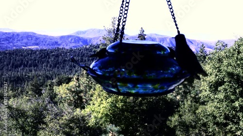 Single Hummer