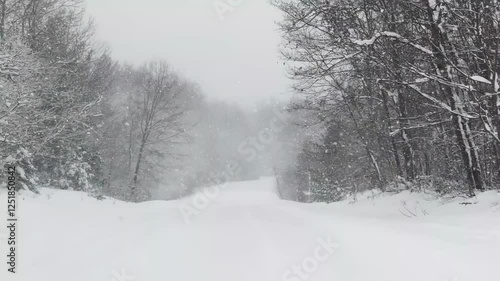 Winter driving in Manistee National Forest