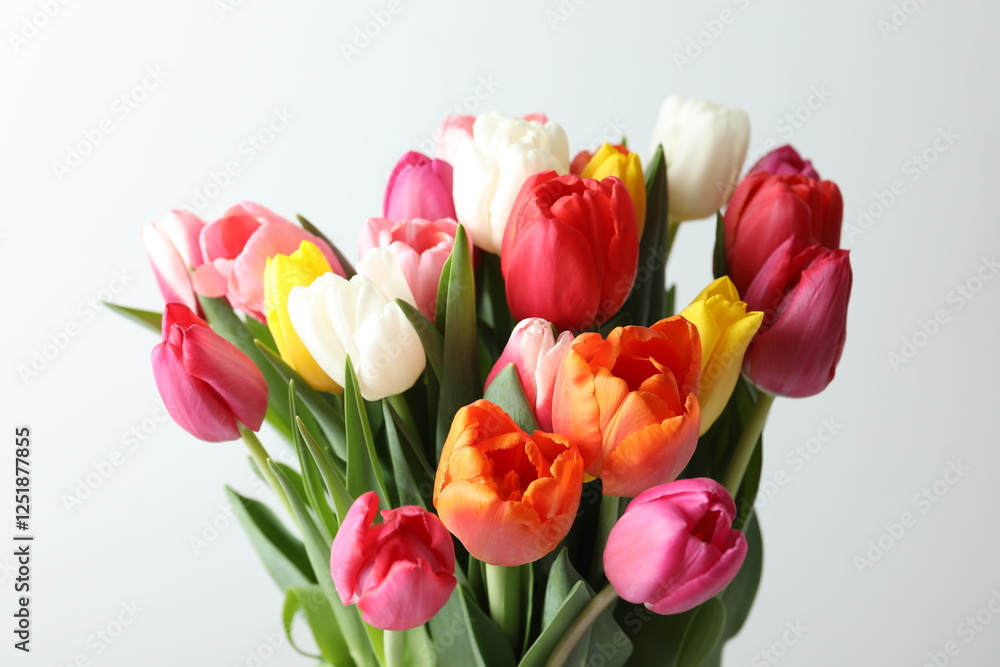 Beautiful fresh tulips on white background Beautiful fresh tulips on white background