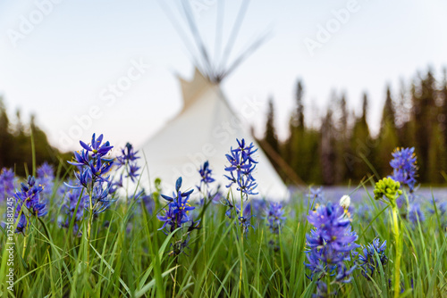 Teepee In Historic Camas Prairie