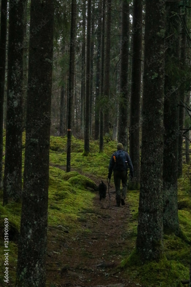 Obraz premium person and dog hiking in the forest 