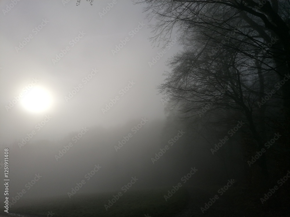 Fototapeta premium Nebel 