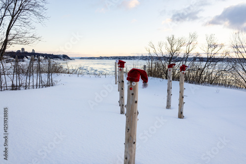 Funny red hats, noses and googly eyes on wood poles in park with high angle view of the St. Lawrence river seen during a blue hour winter dawn, Quebec City, Quebec, Canada photo