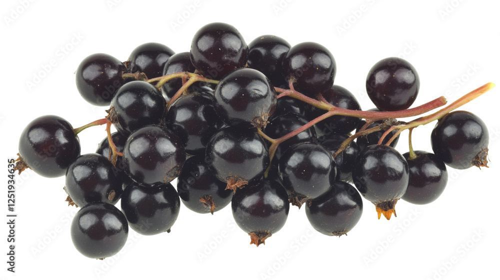 Fresh black currants on transparent background Fresh black currants on transparent background