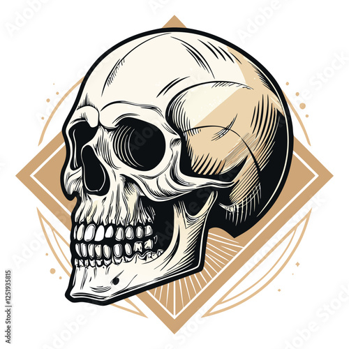 Adobe Illustrator Artwork Illustration of skull  Vector,