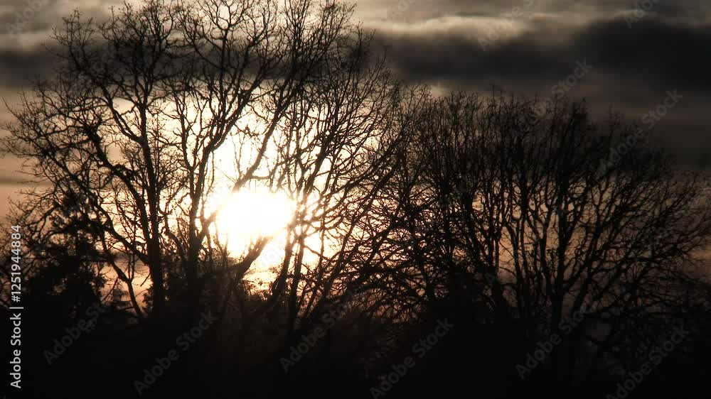 Sunset time lapse, close up on warm lit sky as sun sets behind moving clouds and still, silhouetted trees. Sunset time lapse, close up on warm lit sky as sun sets behind moving clouds and still, silhouetted trees.