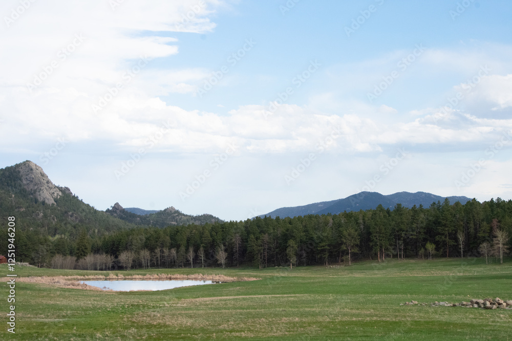 Fototapeta premium Rural Colorado meadow in spring