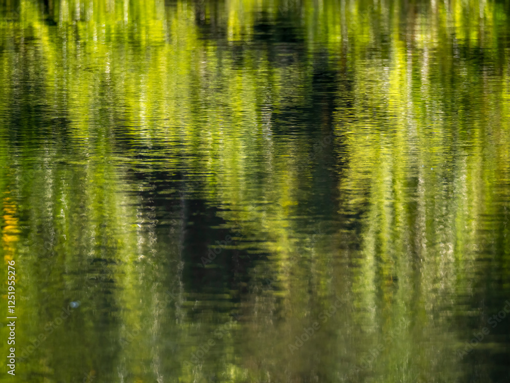 Amazon rainforest is reflected on the water surface of a side arm of the Amazon near the town of Jutaí. Amazon rainforest is reflected on the water surface of a side arm of the Amazon near the town of Jutaí.