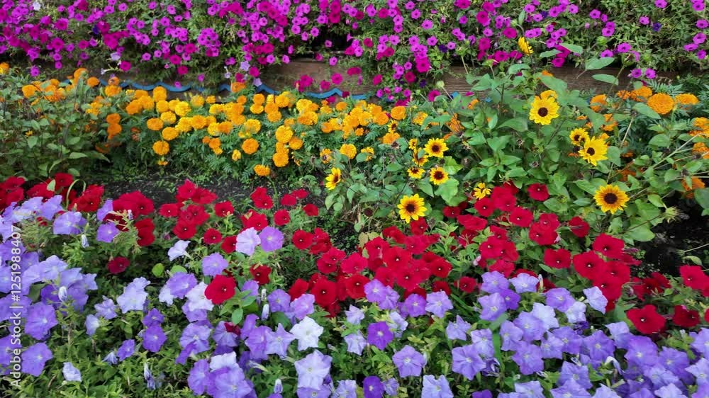 custom made wallpaper toronto digitalStrolling Past a Vibrant Flower Arrangement in Full Bloom