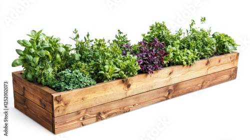 Wooden garden bed filled with various vibrant herbs and plants