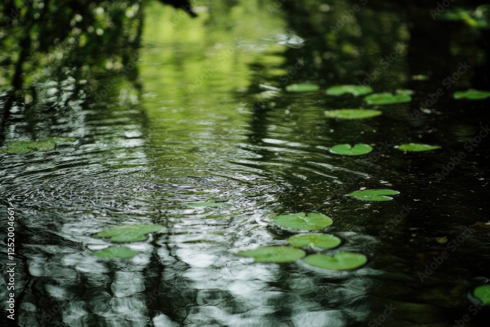 A calming image capturing rippling water with lilypads gracefully floated, reflecting the surrounding greenery, evoking tranquility and deep connection to nature's cycles. A calming image capturing rippling water with lilypads gracefully floated, reflecting the surrounding greenery, evoking tranquility and deep connection to nature's cycles.