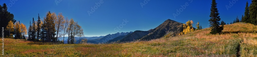 Box Elder Peak view looking up from hiking trail, American Fork Canyon. Wasatch Range Rocky Mountains, Utah, United States. Box Elder Peak view looking up from hiking trail, American Fork Canyon. Wasatch Range Rocky Mountains, Utah, United States.