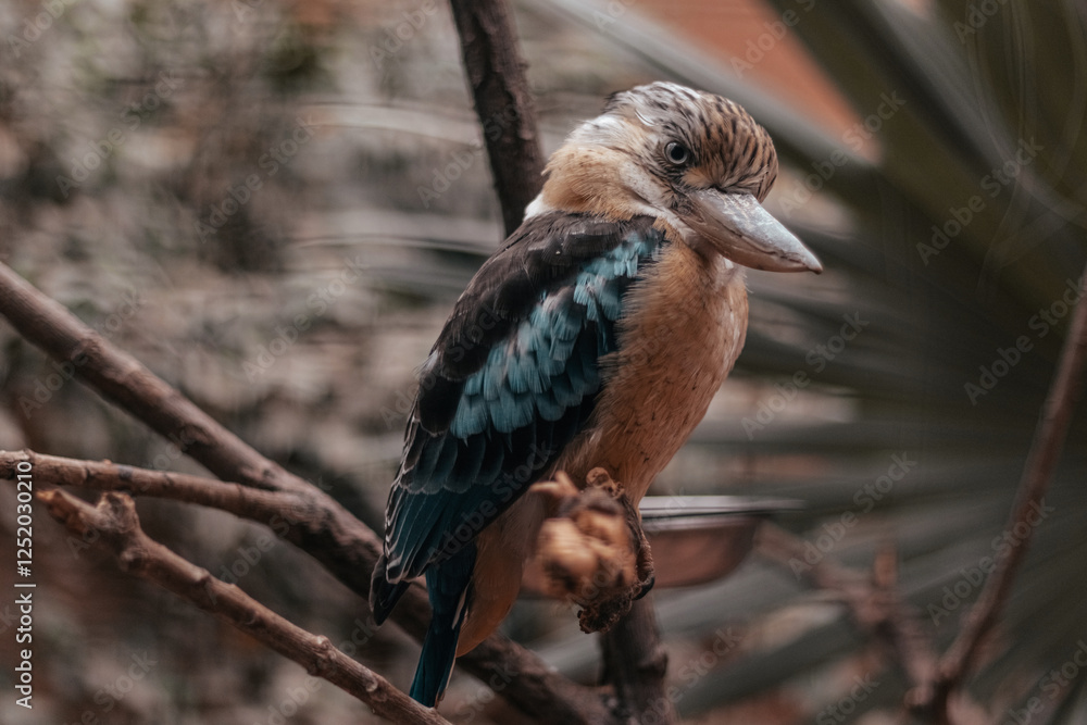 small bird on a tree, in nature small bird on a tree, in nature