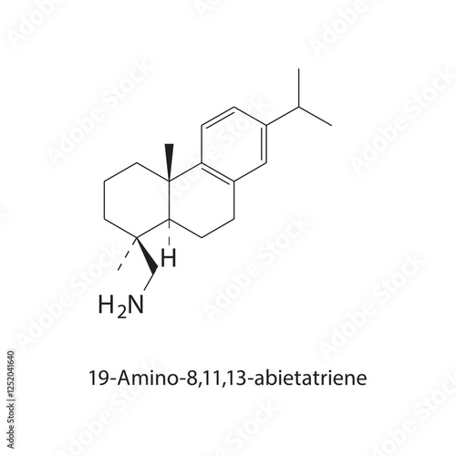 19-Amino-8,11,13-abietatriene skeletal structure.Abietane diterpene compound schematic illustration. Simple diagram, chemical structure.