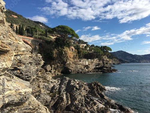 The Mediterranean rocky coast view in sunny day with treens and mountains in background, Liguria, Italy.
 photo