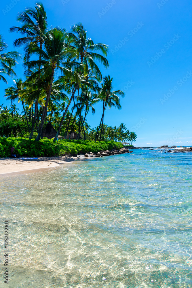 Φωτογραφία Turtle Beach in Ko Olina, on the southwest side of the island of Oahu, Hawaii