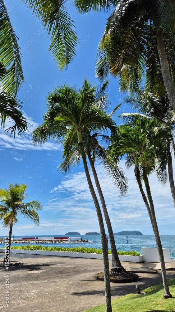 Fototapeta premium palm trees on the beach